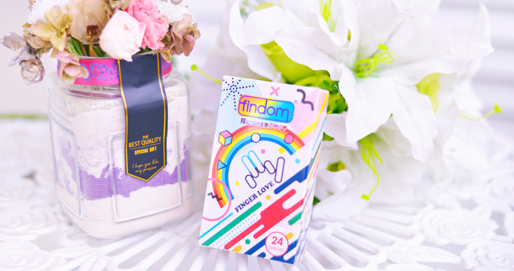 フィンドム 24ピース入 4,000円
